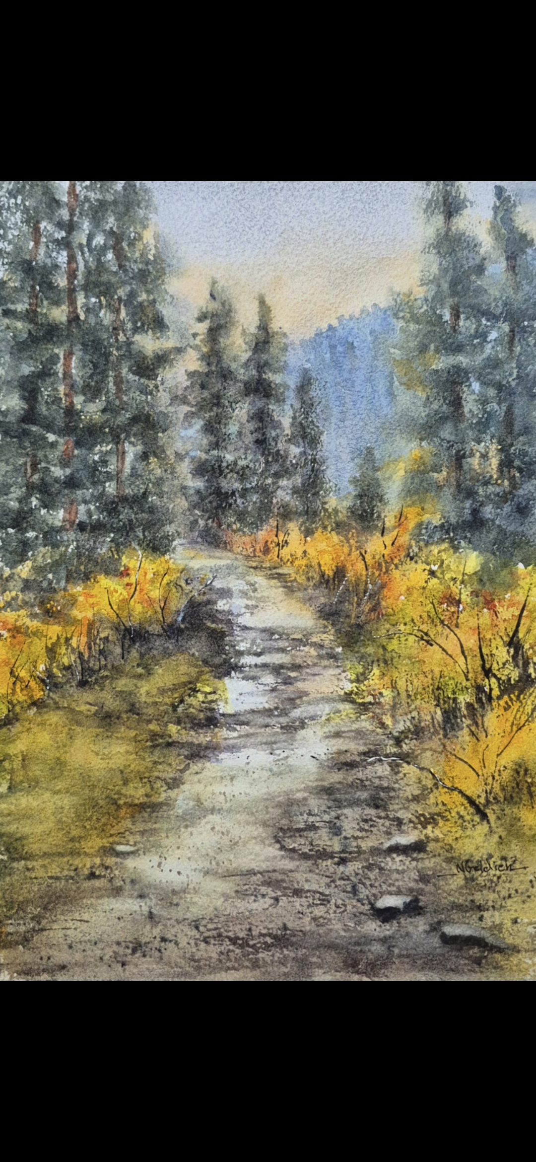 Nancy Geldien- High in the Bridger Mtns