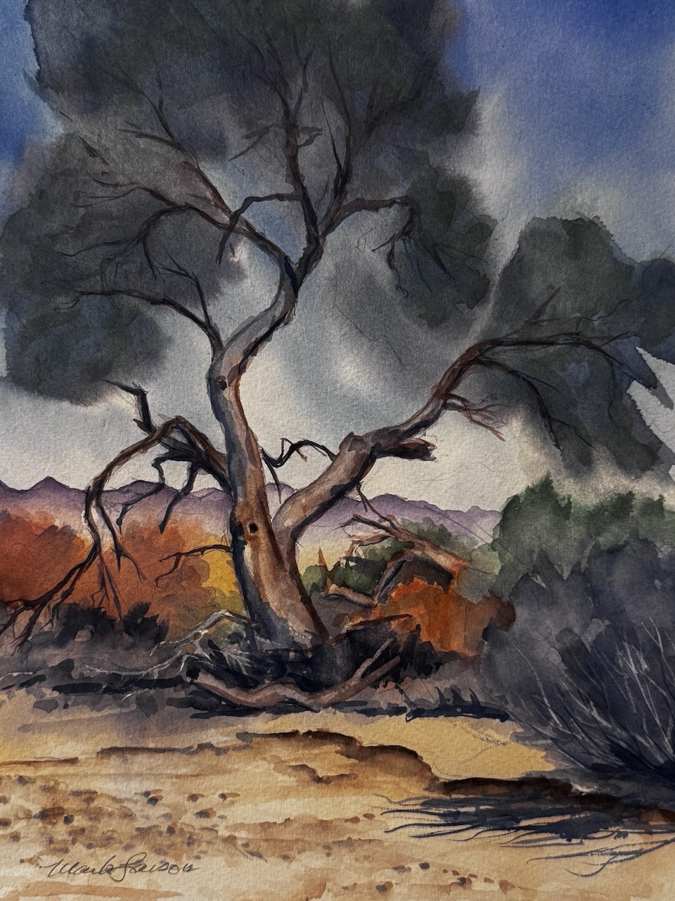 Mark Larson- Palo Verde