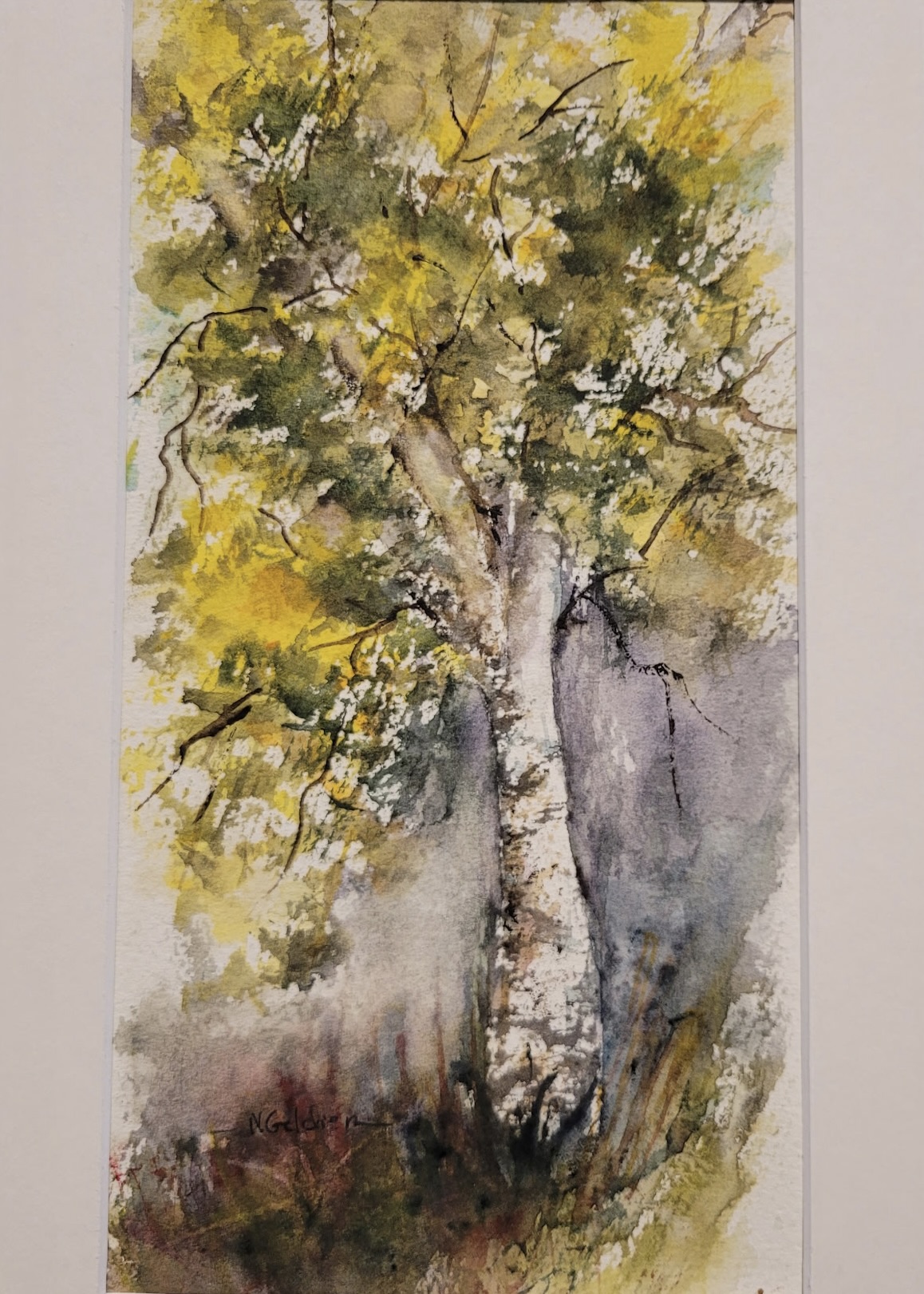 Nancy Geldien- Birch Tree
