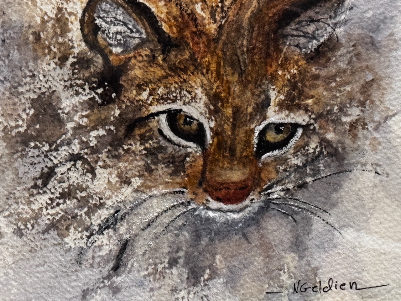 Nancy Geldien- Lynx 
