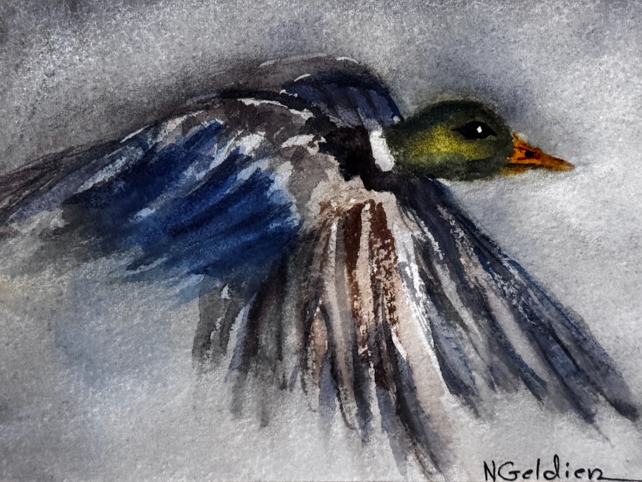 Nancy Geldien- Flying South