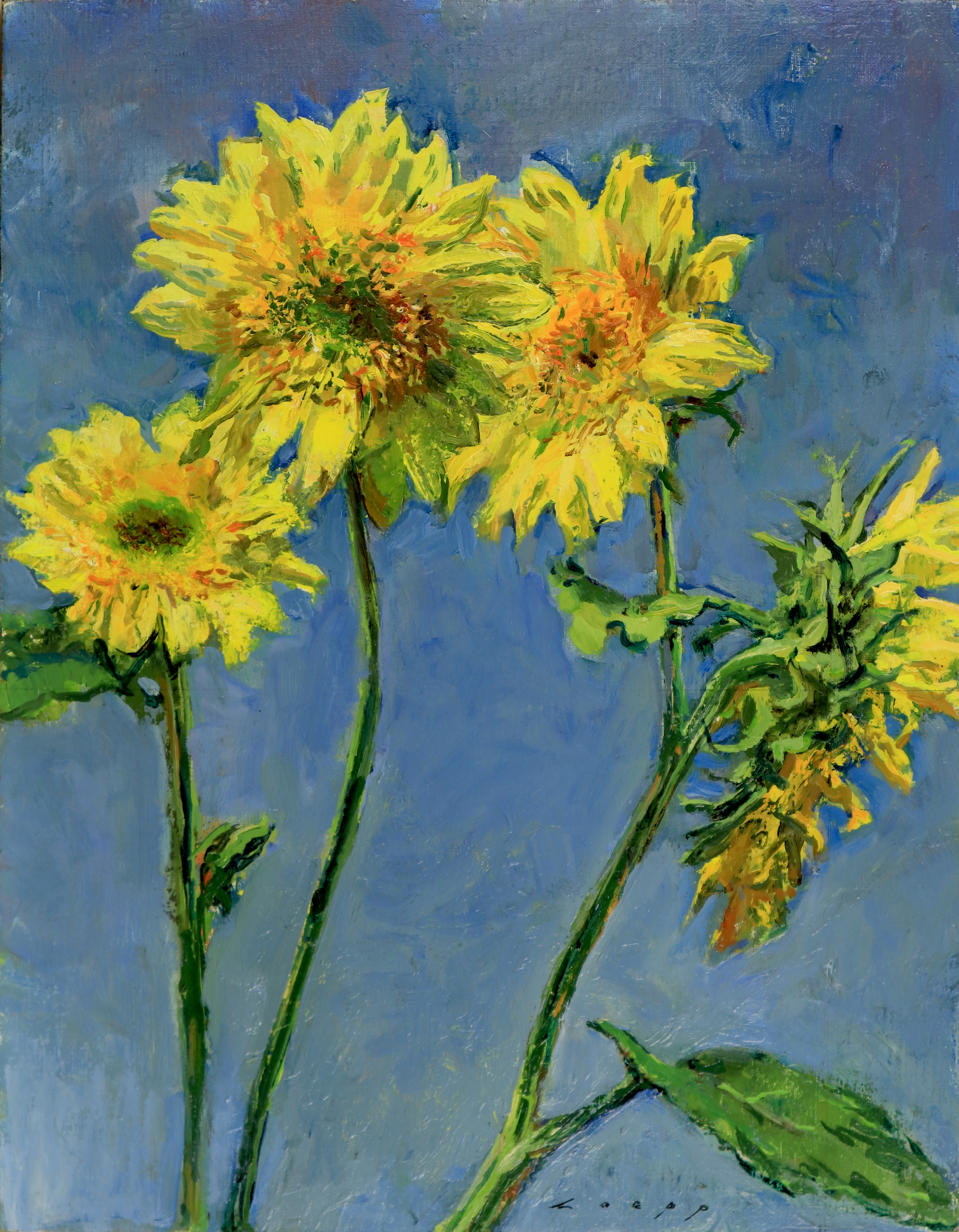 Tom Loepp- Yellow Flowers 