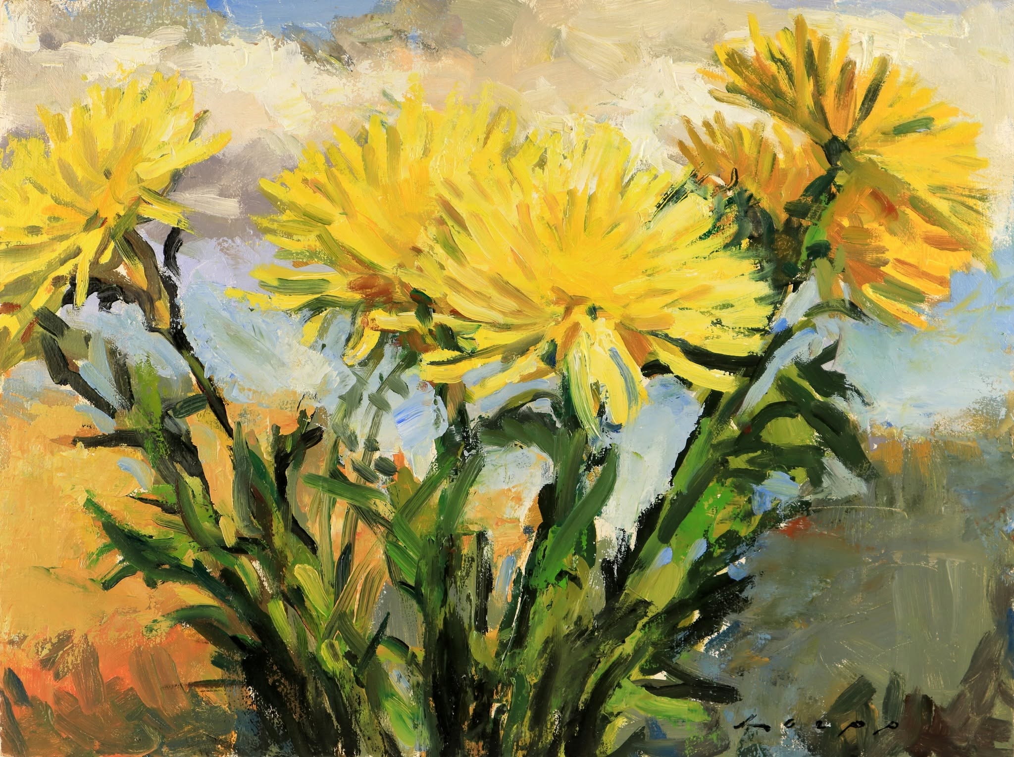 Tom Loepp- Yellow Spider Mums