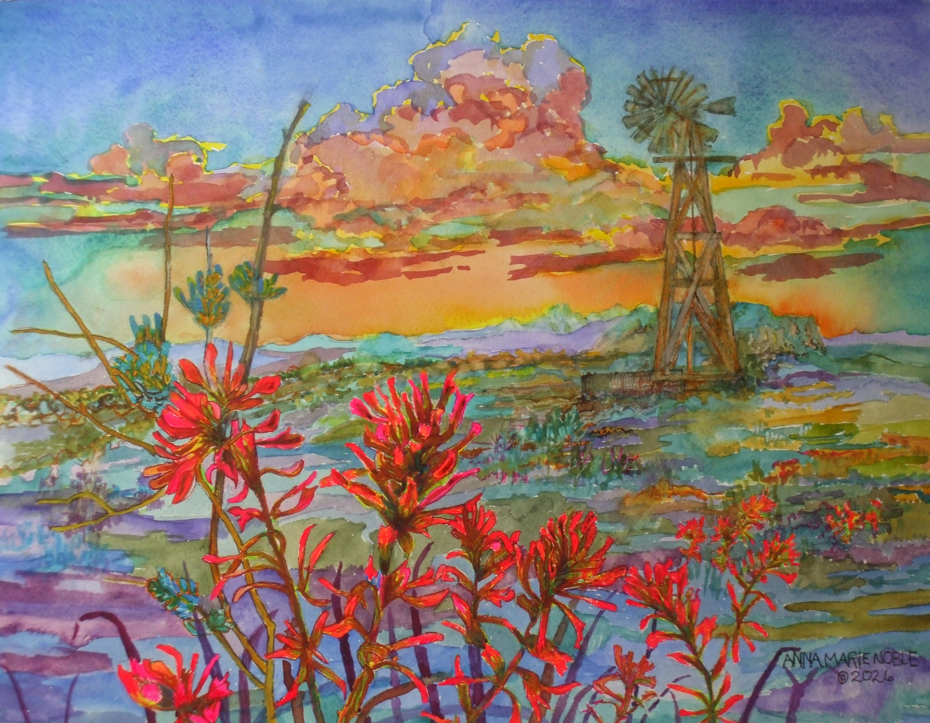 Anna Marie Noble- Indian Paintbrush at Sunset 