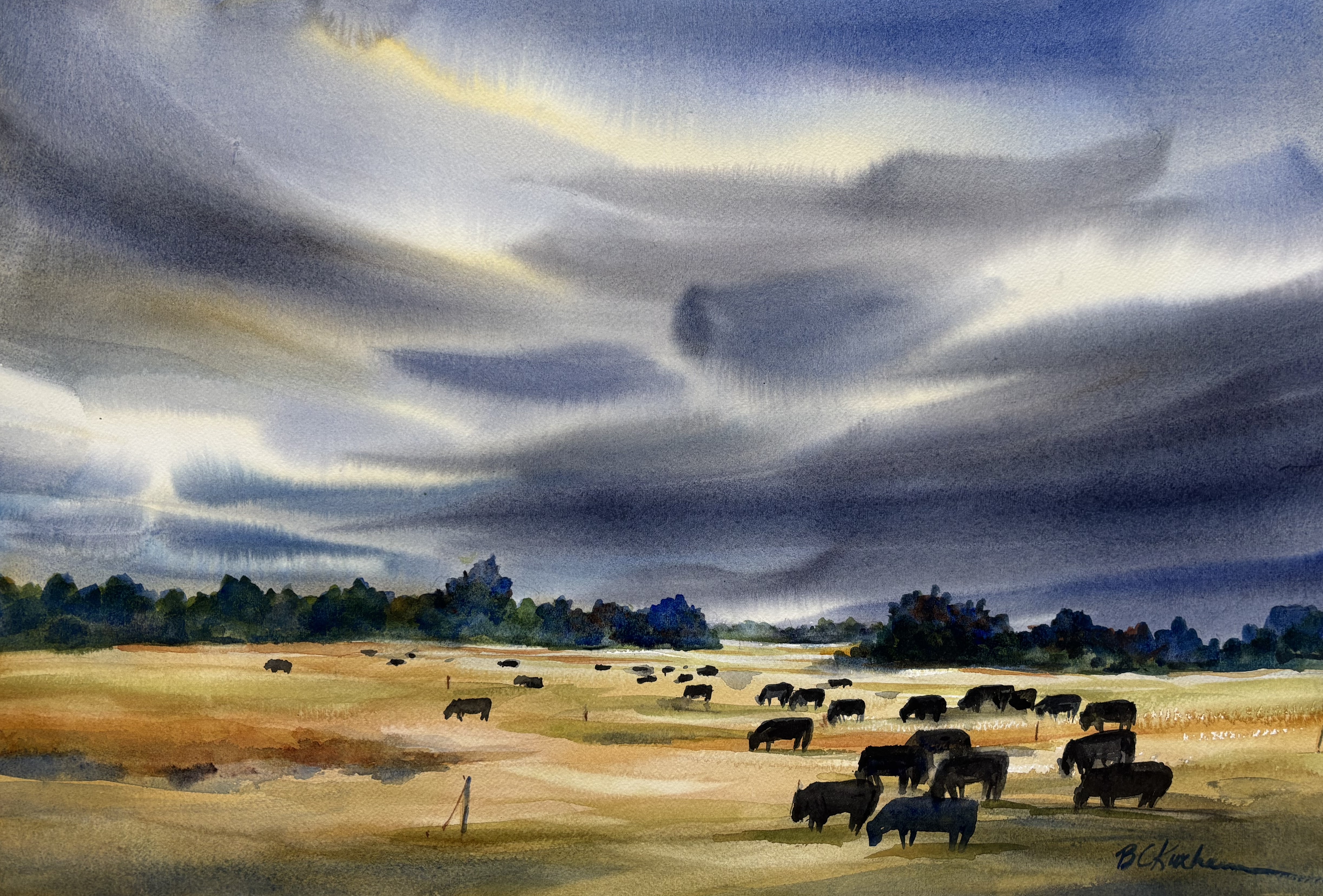 Barbara Kuxhausen- Angus Grouping