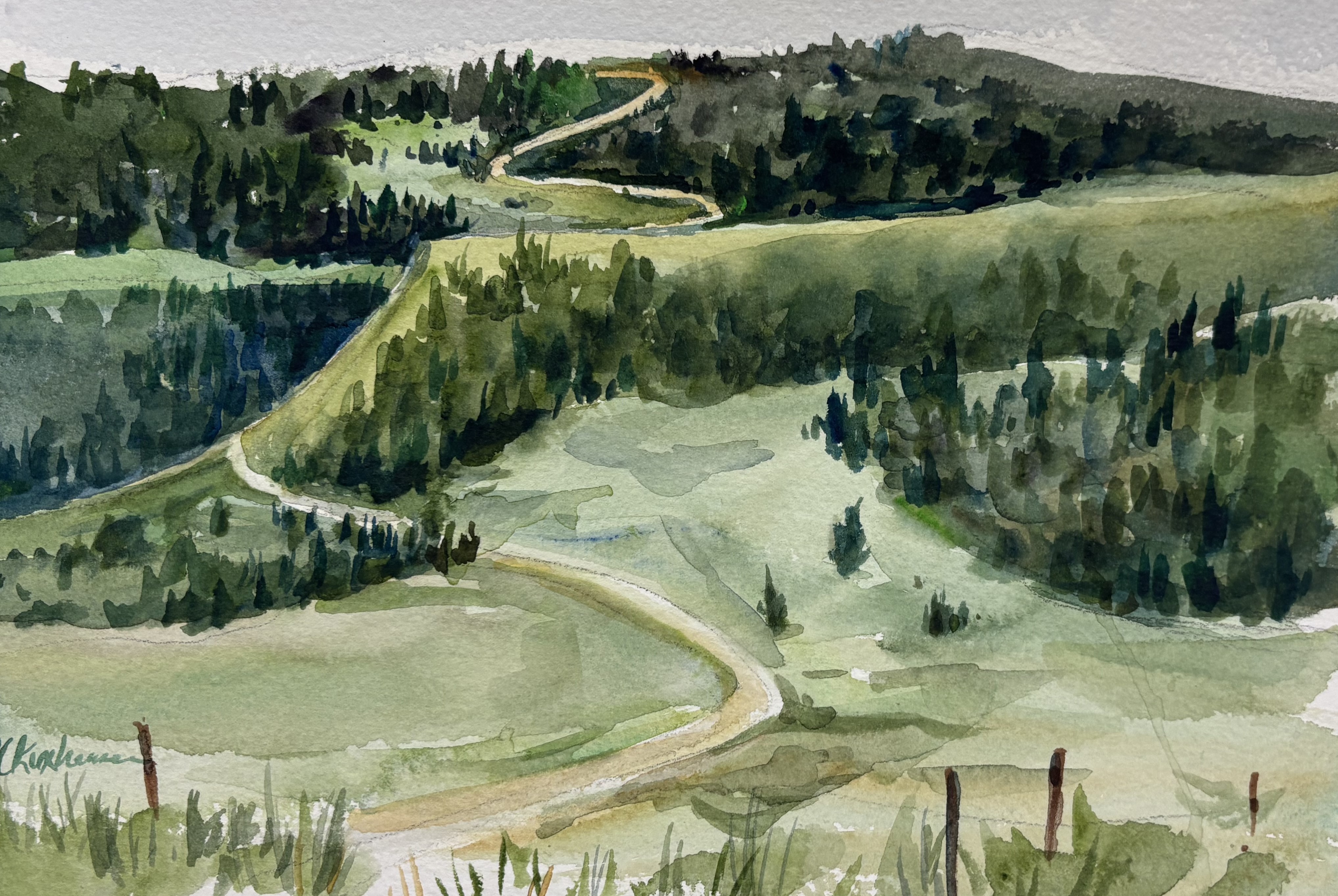 Barbara Kuxhausen- Back of Casper Mountain