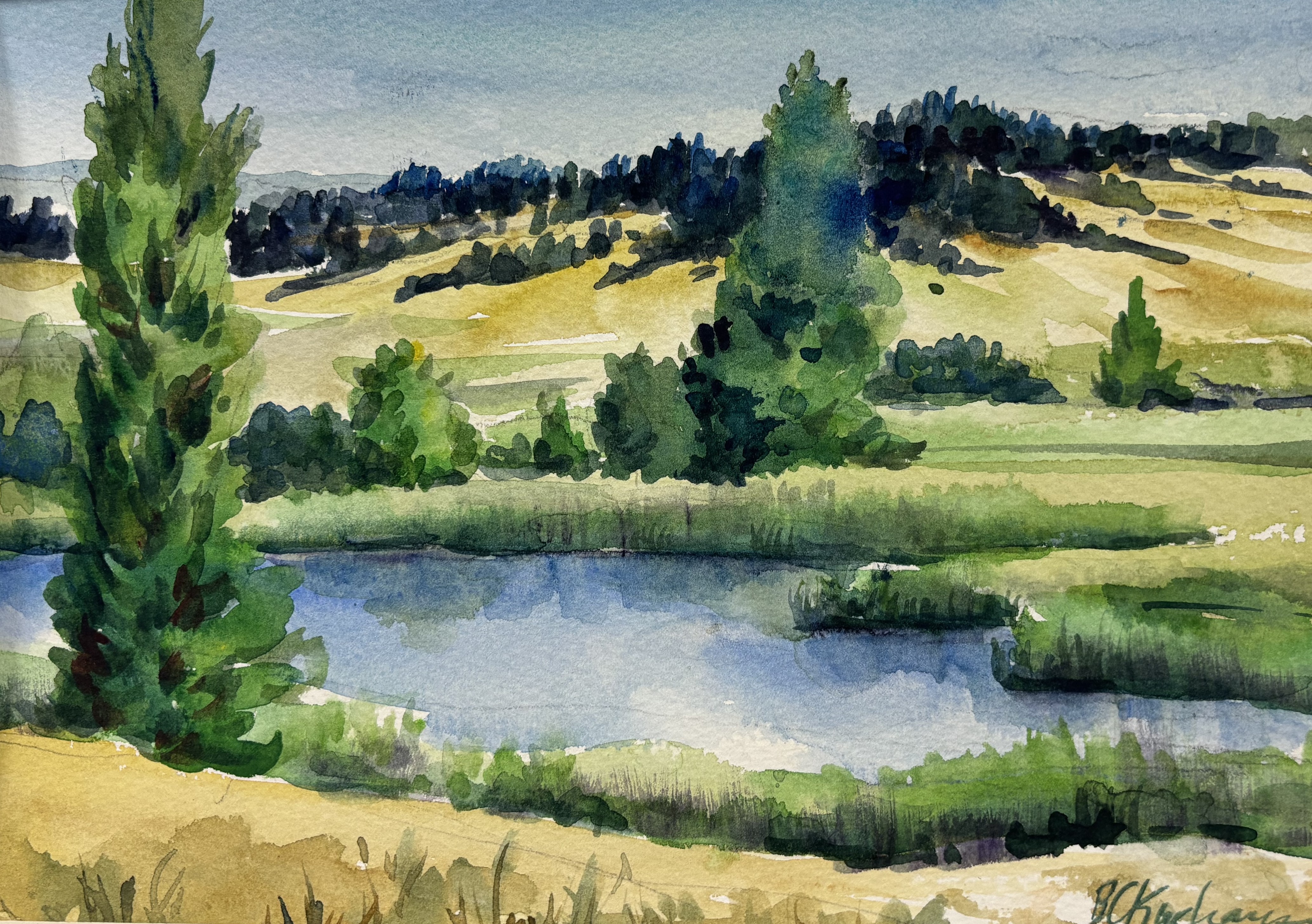Barbara Kuxhausen- Ventura Dog Park