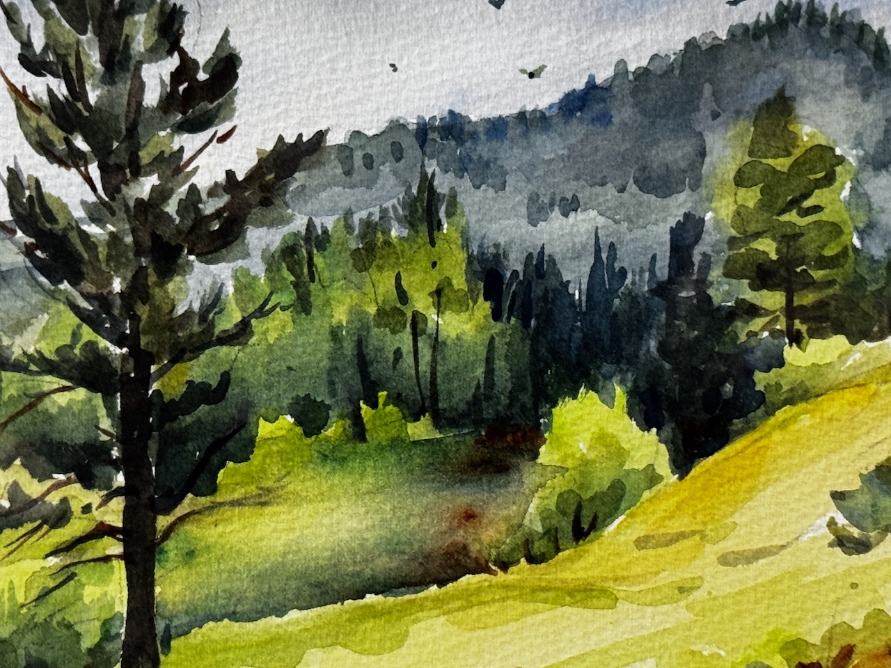 Barbara Kuxhausen- Mountain Green