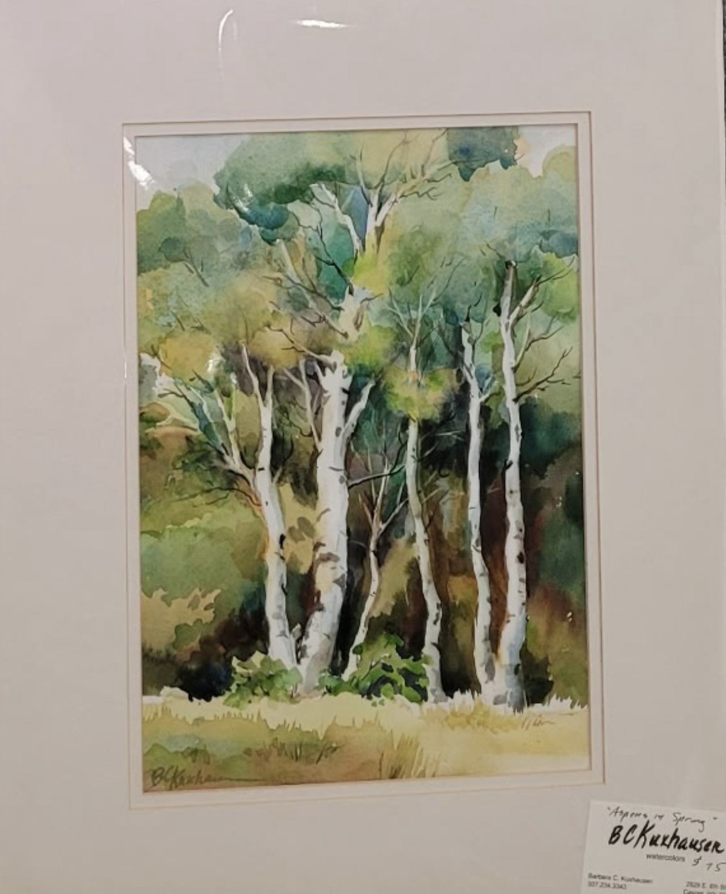 Barbara Kuxhausen- Aspens in Spring