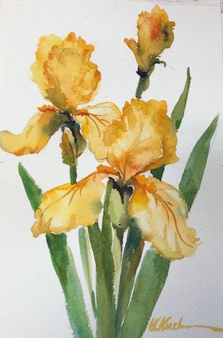 Barbara Kuxhausen- Yellow Sunshine Iris