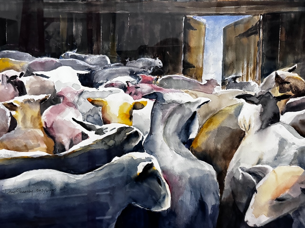 Dave Sneesby- Discussing the Shearing