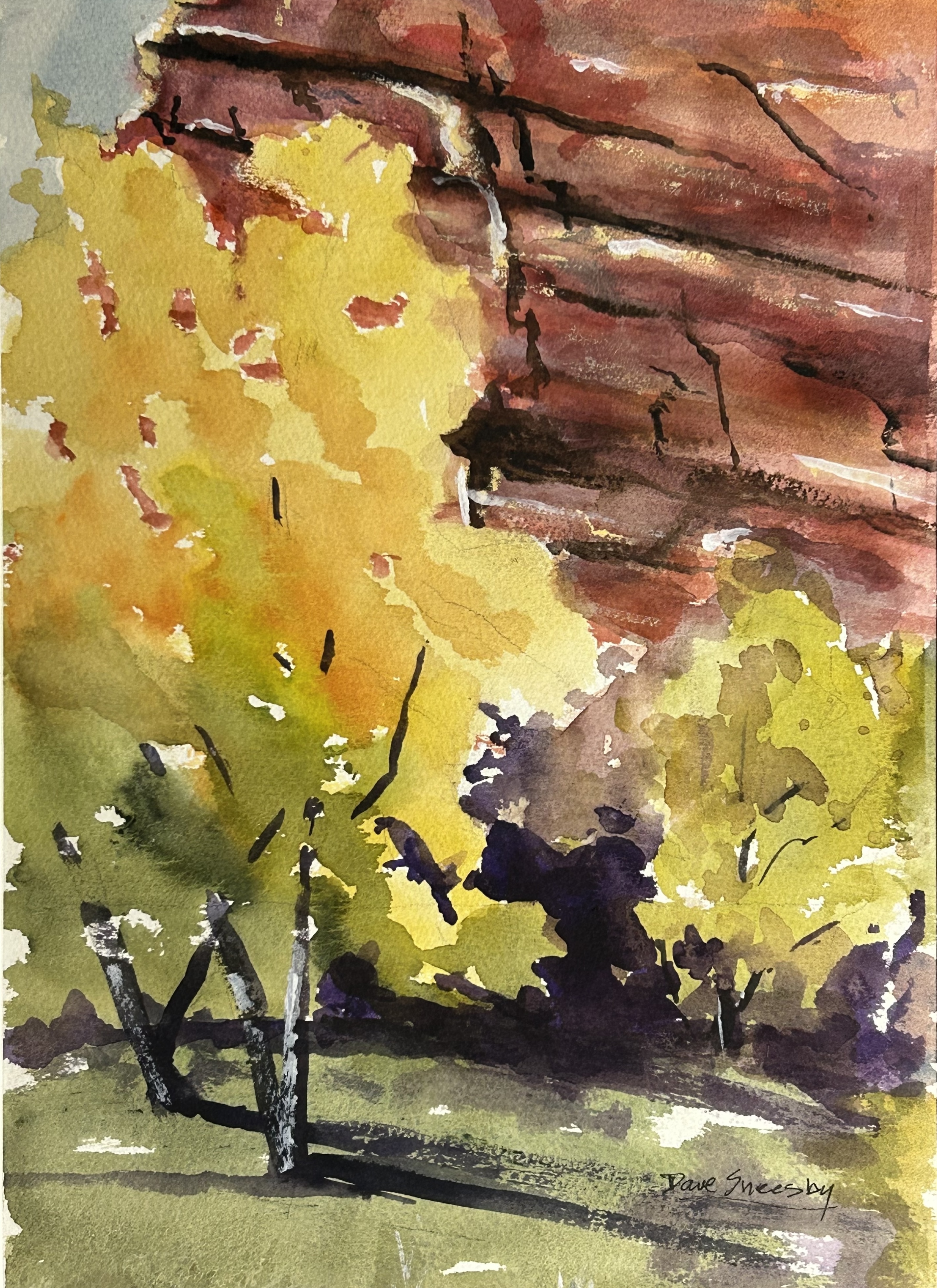Dave Sneesby- Ayers Park #1 (Diptych)