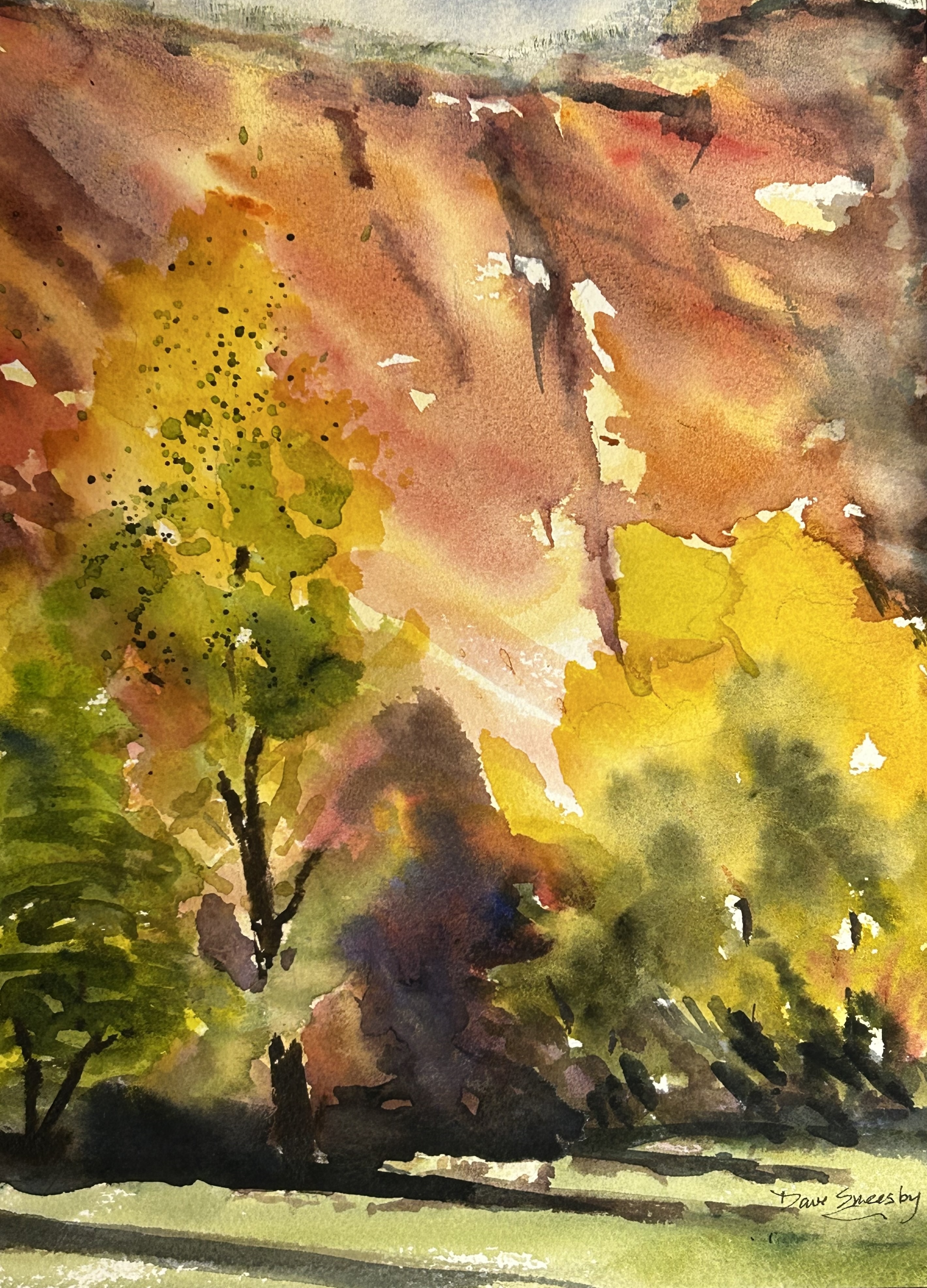 Dave Sneesby- Ayers Park #2 (Diptych)