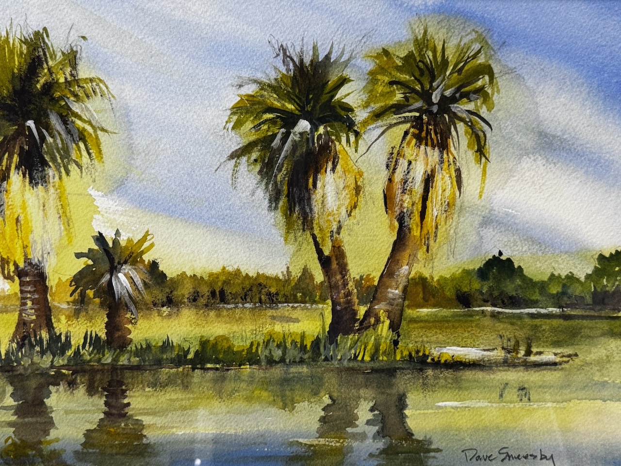 Dave Sneesby- Mittry Lake