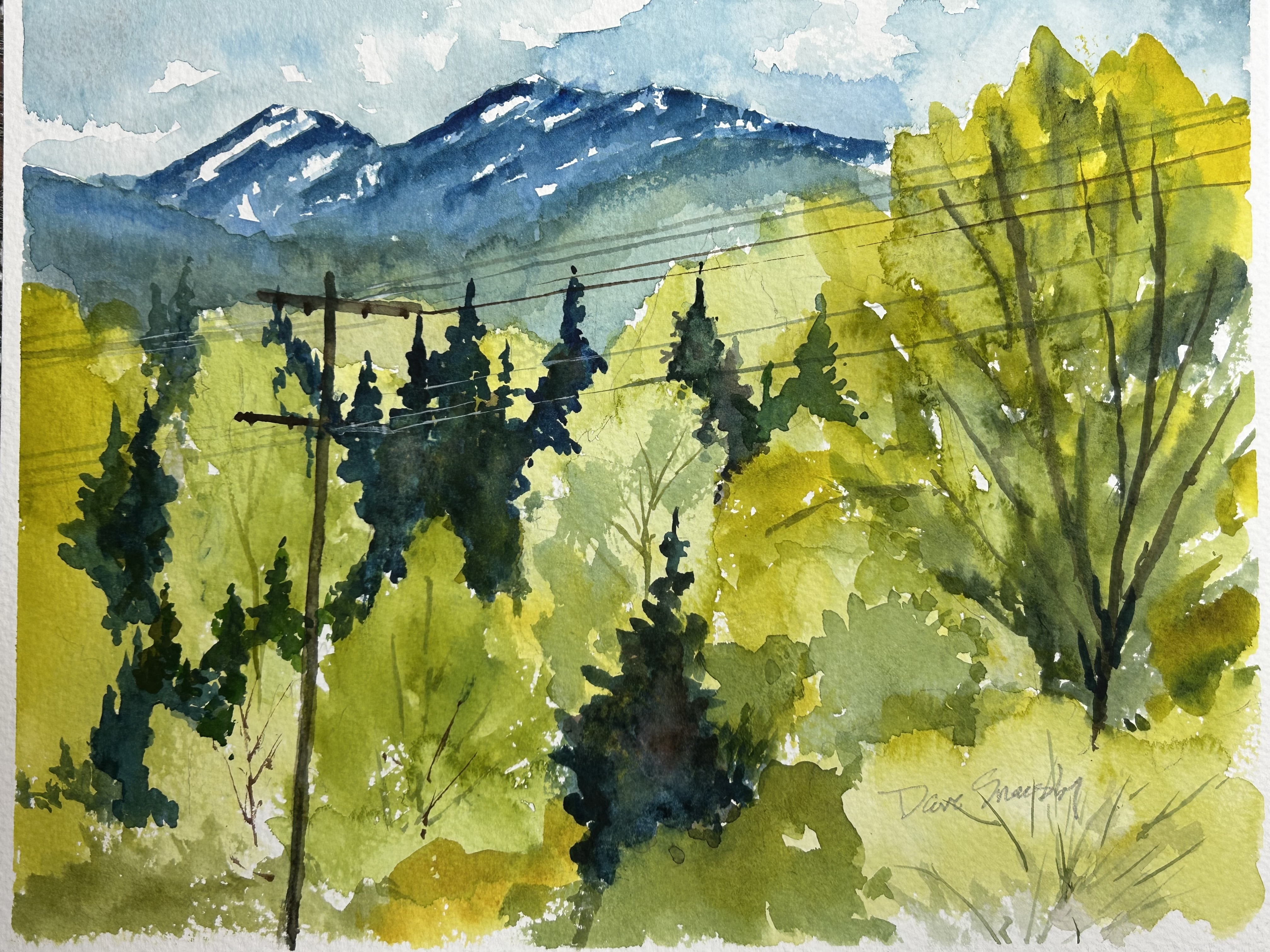 Dave Sneesby- Spring at Casper Mountain