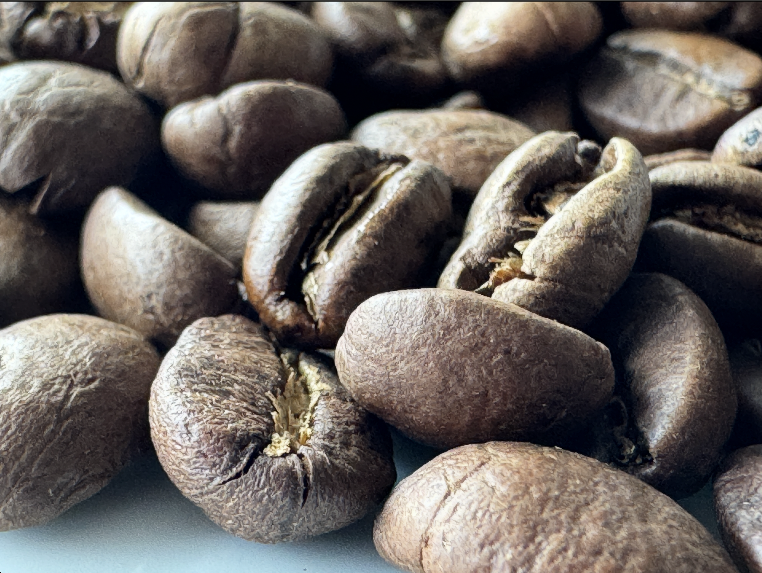 Medium Roast Tarrazu (Costa Rica Arabica) 230g GROUND Bean